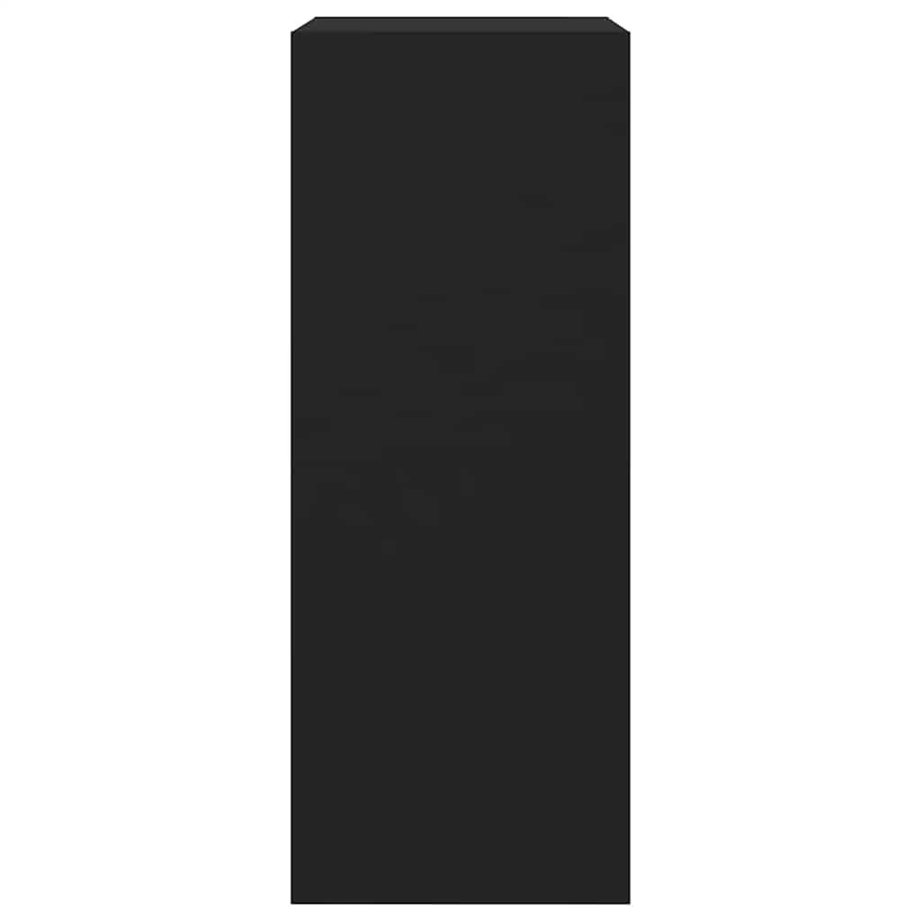 Schuhschrank mit 2 Klappen Schwarz 60x42x108 cm