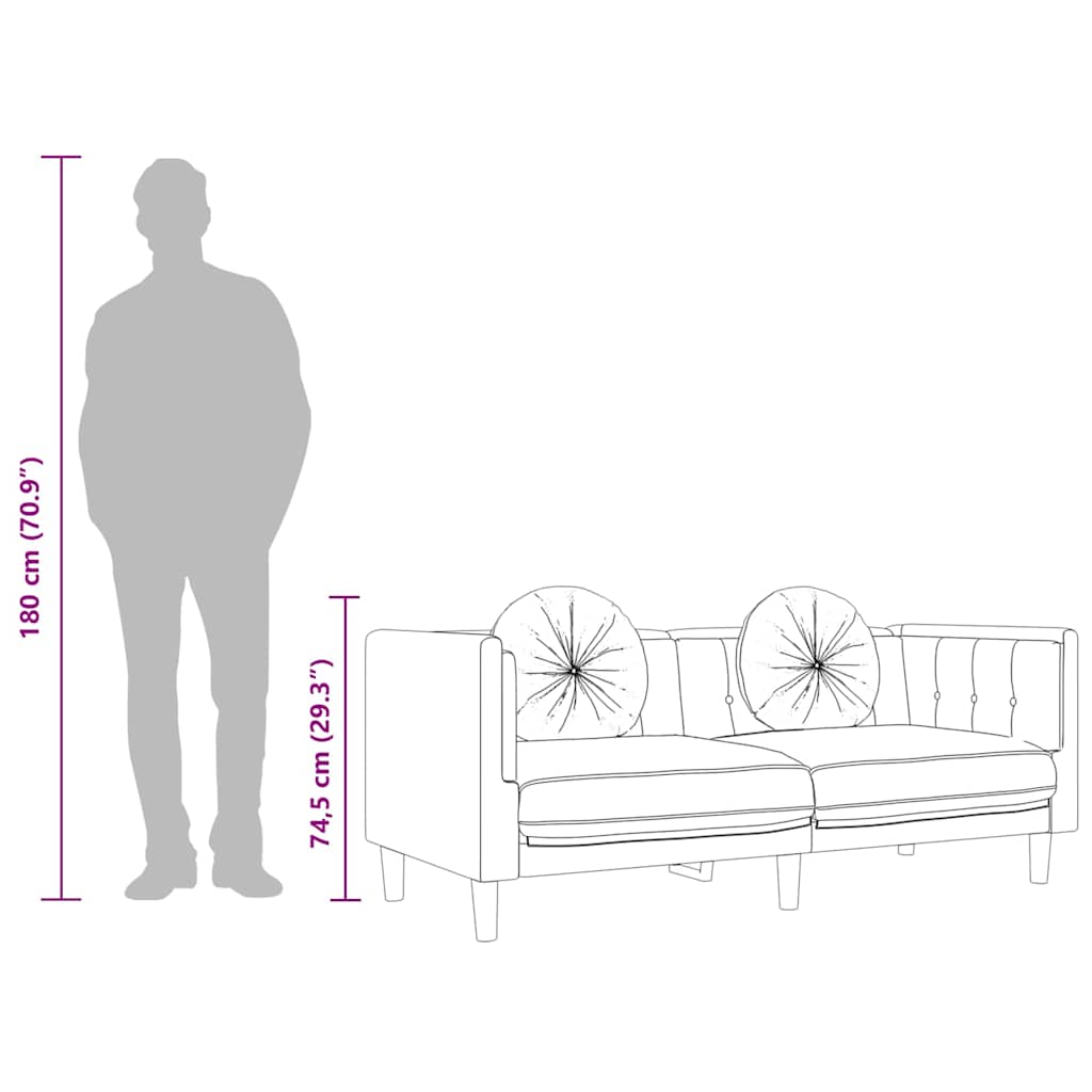 Sofa mit Kissen 2-Sitzer Schwarz Samt