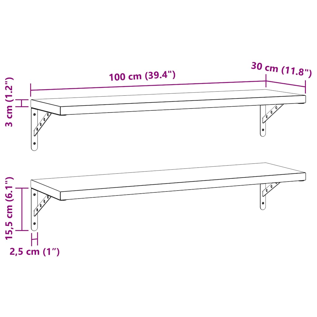 Wandregale 2 Stk. 100x30 cm Silbern Edelstahl
