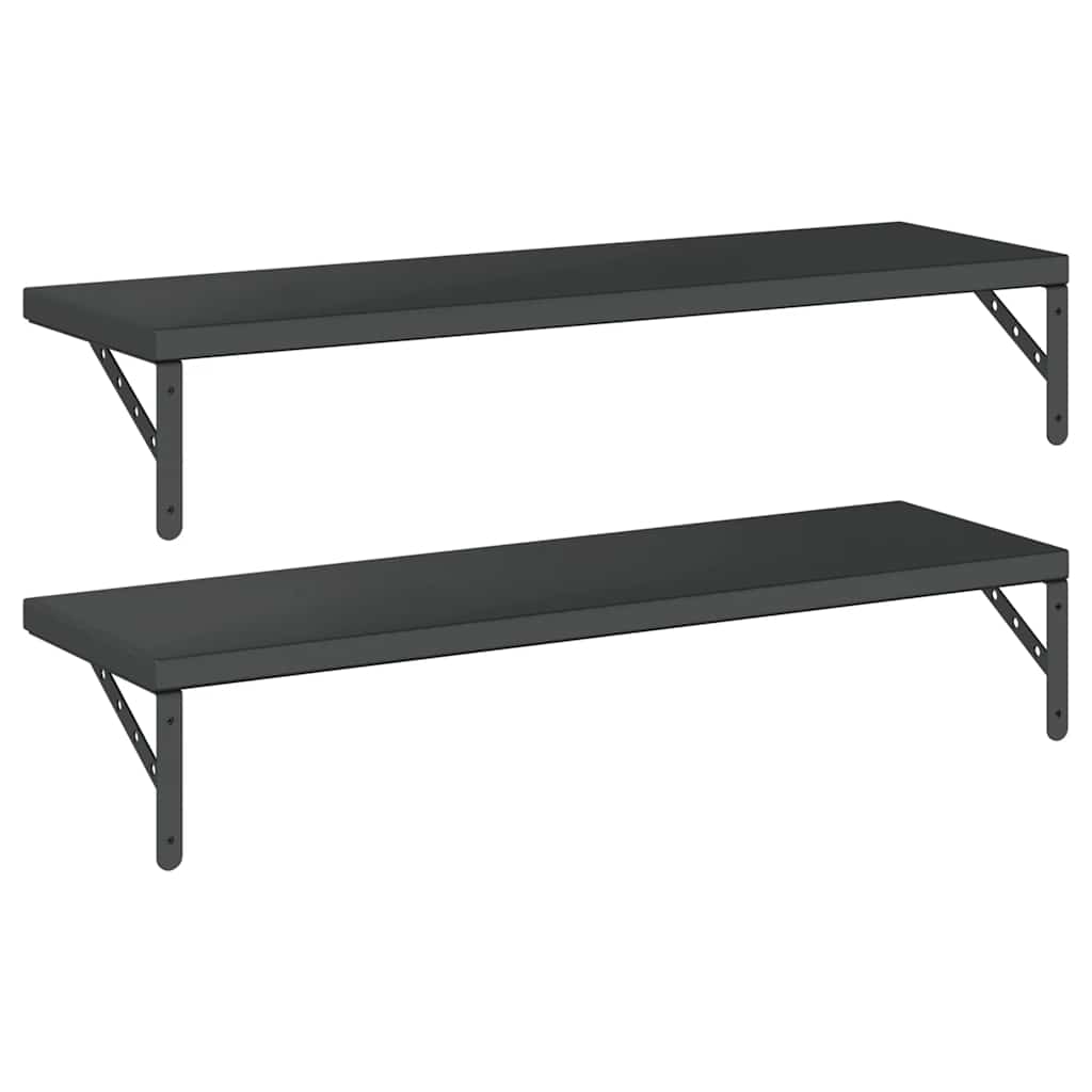 Wandregale 2 Stk. 100x30 cm Schwarz Edelstahl