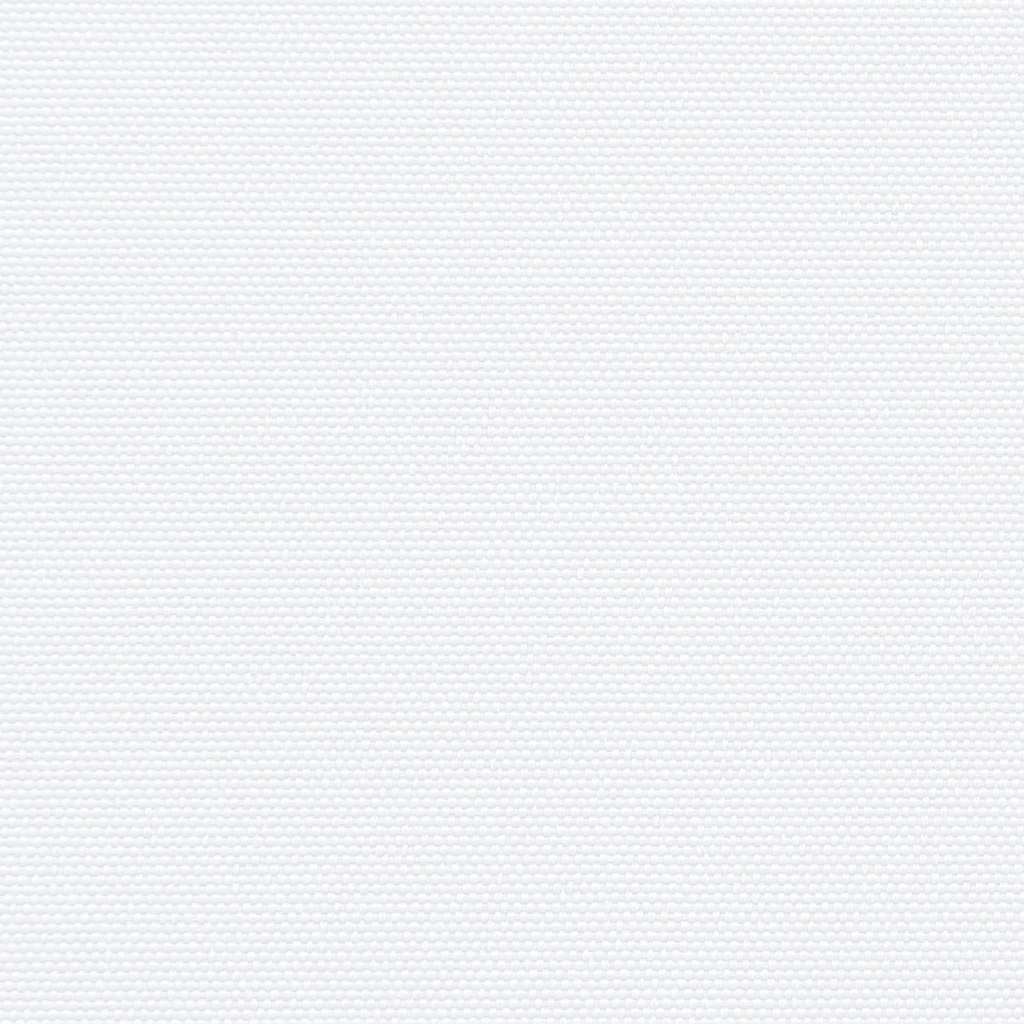 Seitenmarkise Ausziehbar Weiß 160x300 cm