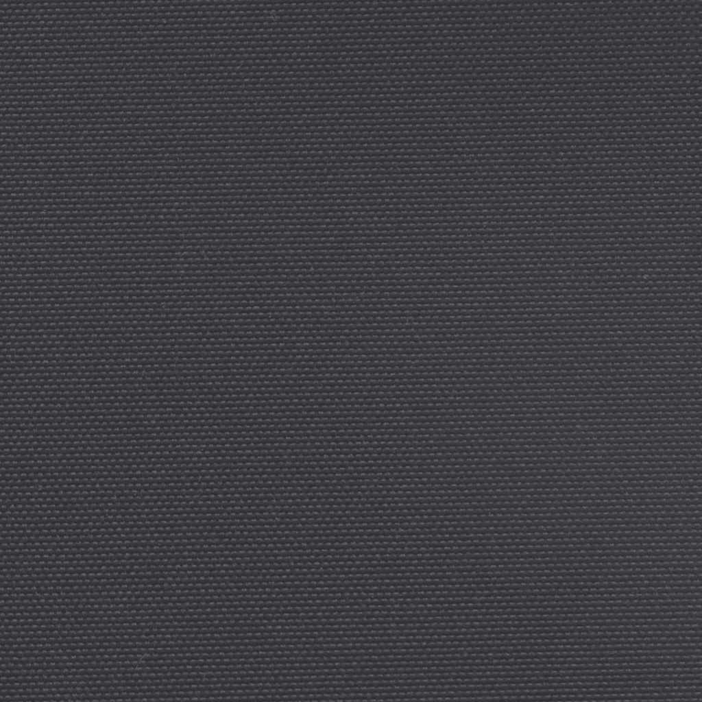 Seitenmarkise Ausziehbar Schwarz 220x600 cm