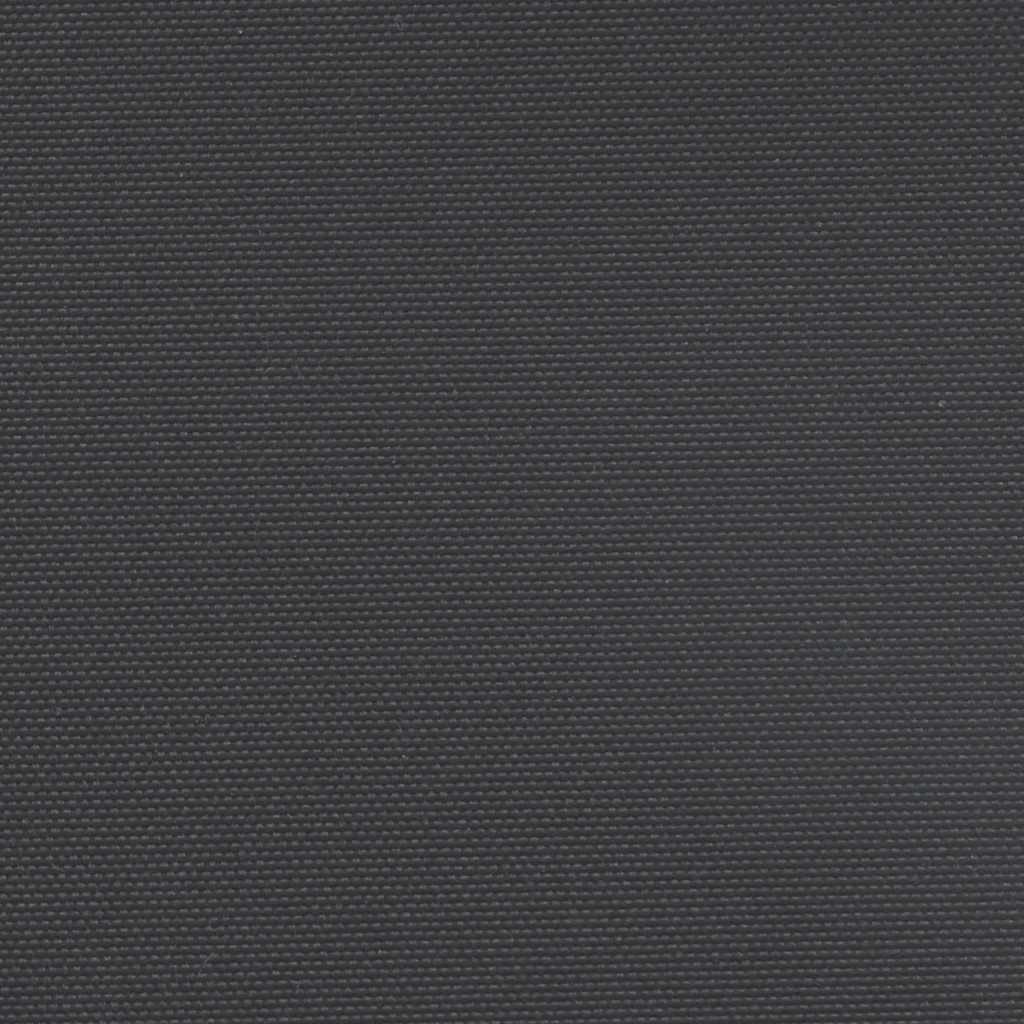 Seitenmarkise Ausziehbar Schwarz 160x600 cm
