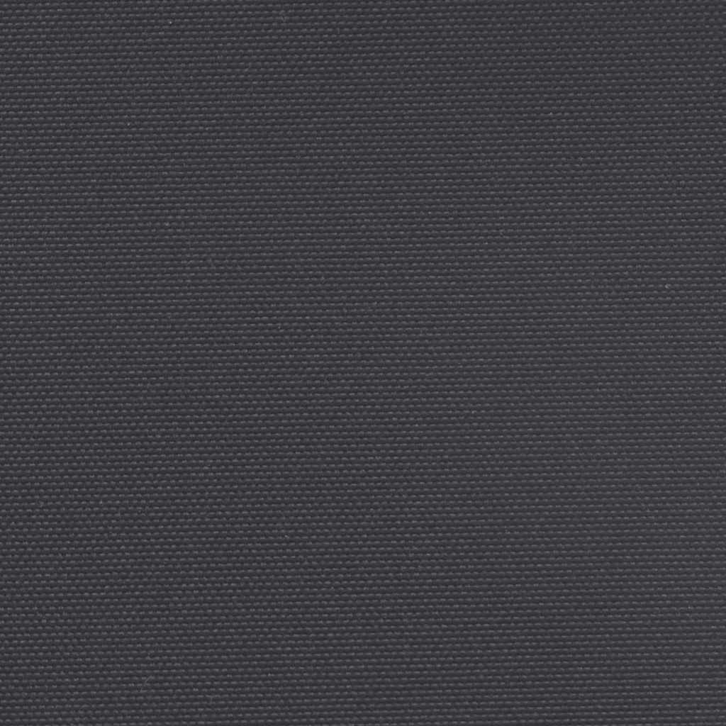 Seitenmarkise Ausziehbar Schwarz 200x1200 cm