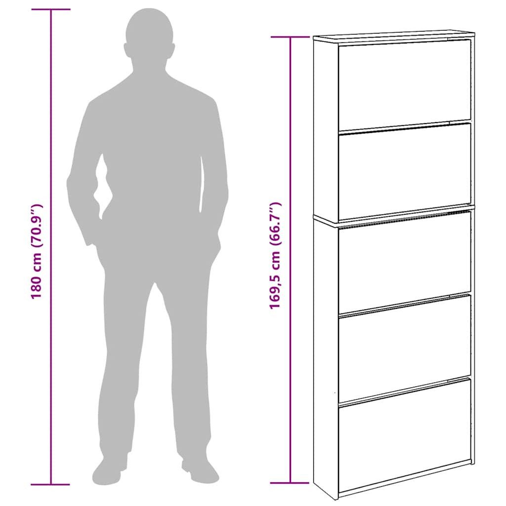 Schuhschrank mit Spiegel 5 Fächer Schwarz 63x17x169,5 cm
