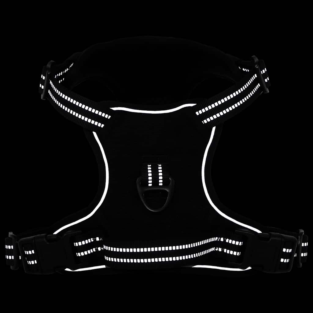 Hundegeschirr mit Leine & Halsband Verstellbar Schwarz S