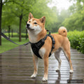 Hundegeschirr mit Leine & Halsband Verstellbar Schwarz S