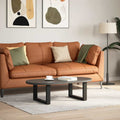 Couchtischbeine U-Form 2 Stk. Schwarz 50x(30-31) cm Stahl