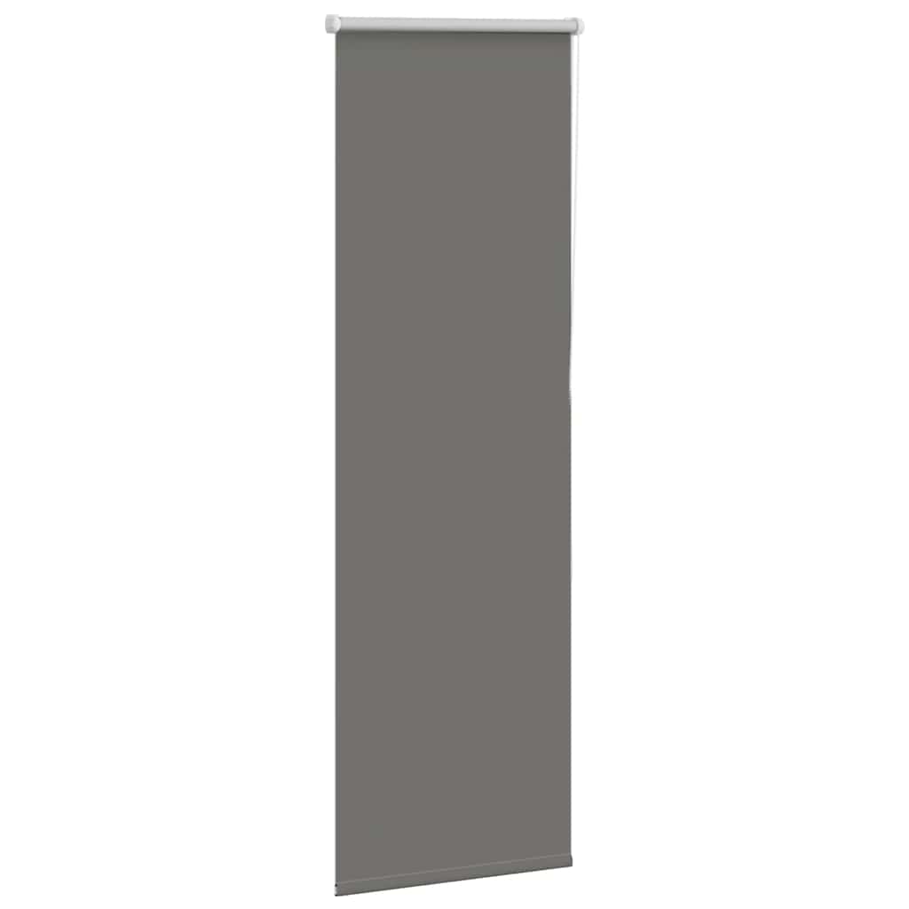 Verdunkelungsrollo Grau 60x150 cm Stoffbreite 55,7 cm Polyester