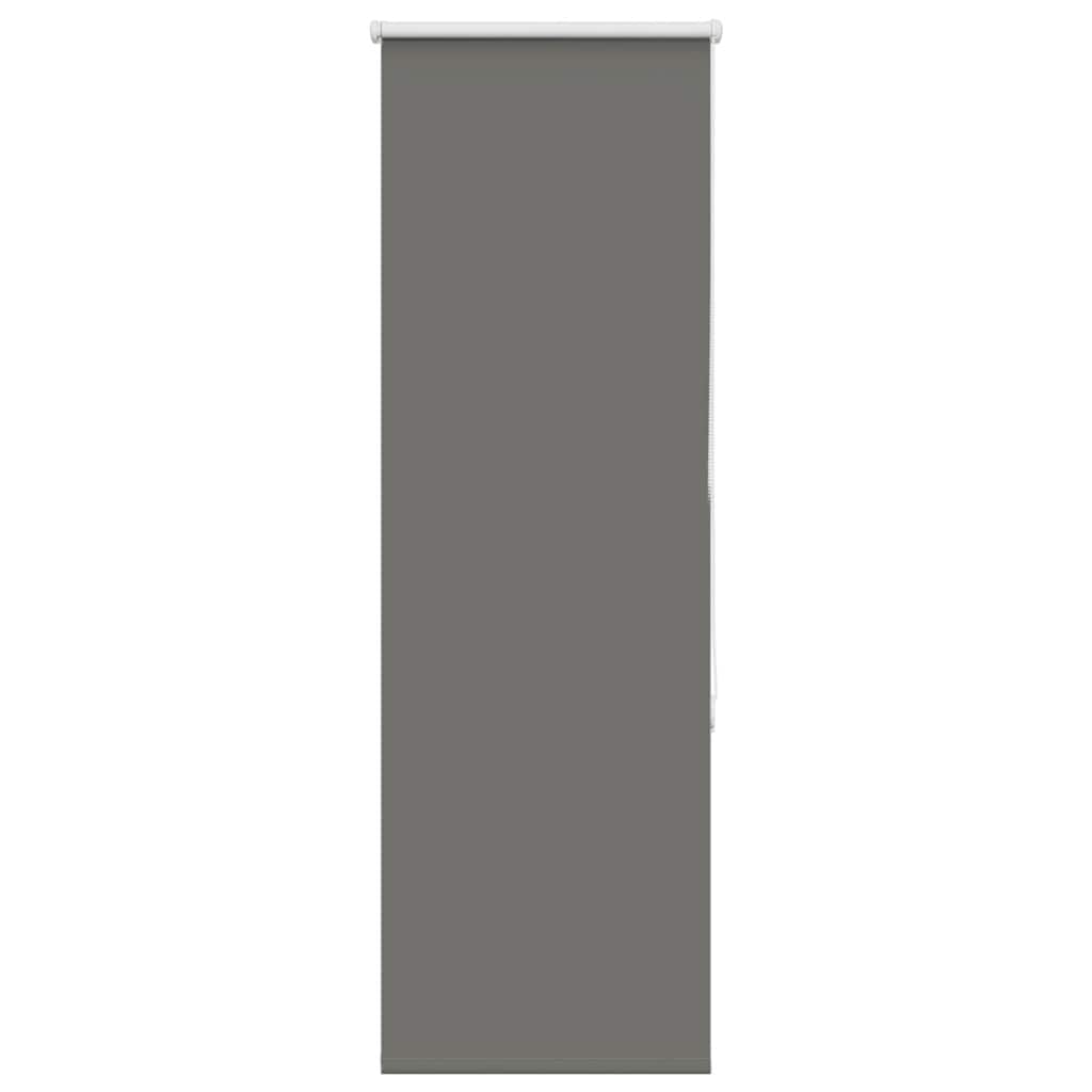 Verdunkelungsrollo Grau 55x175 cm Stoffbreite 50,7 cm Polyester