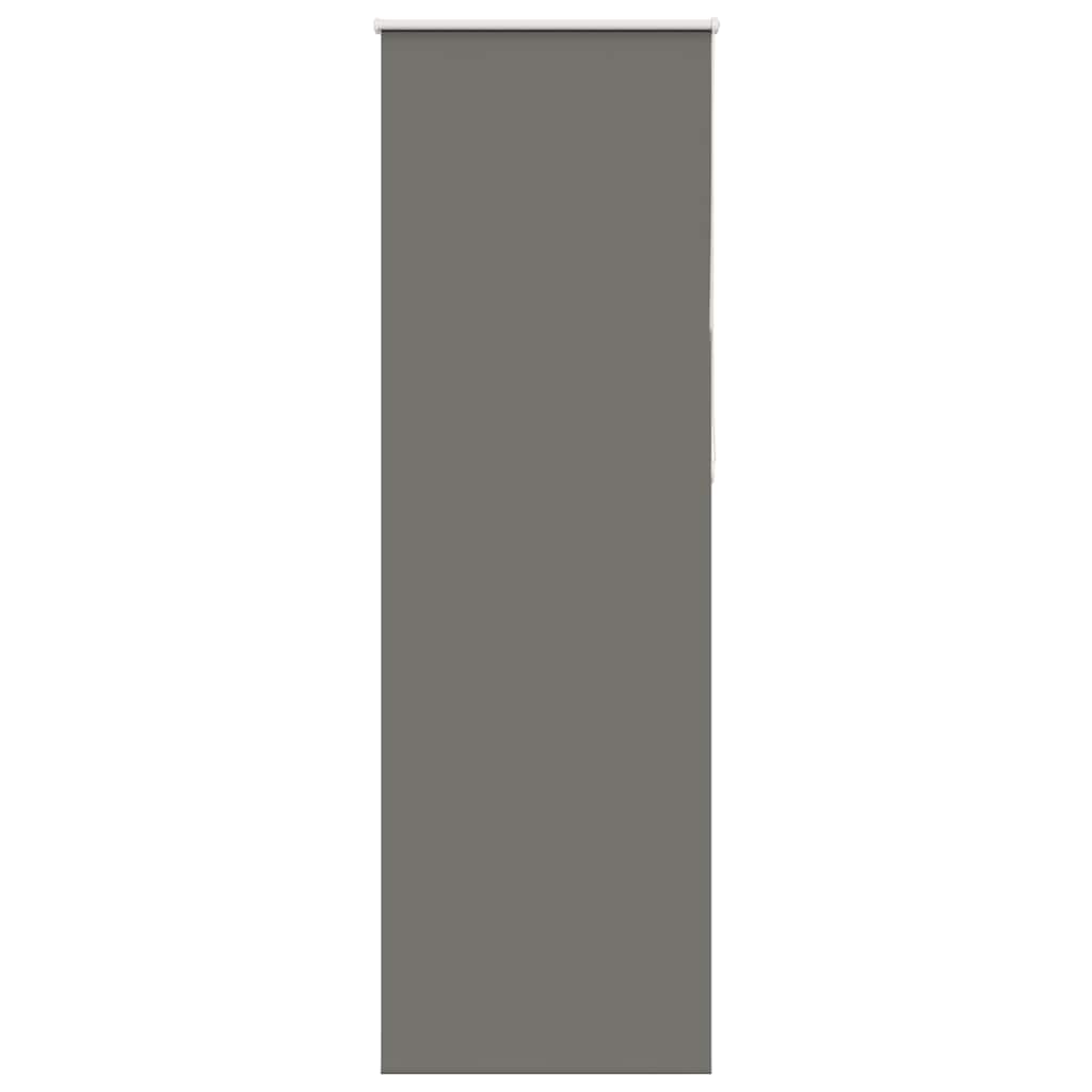 Verdunkelungsrollo Grau 80x210 cm Stoffbreite 75,7 cm Polyester