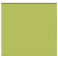 Verdunkelungsrollo Grün 150x130cm Stoffbreite 146,6cm Polyester