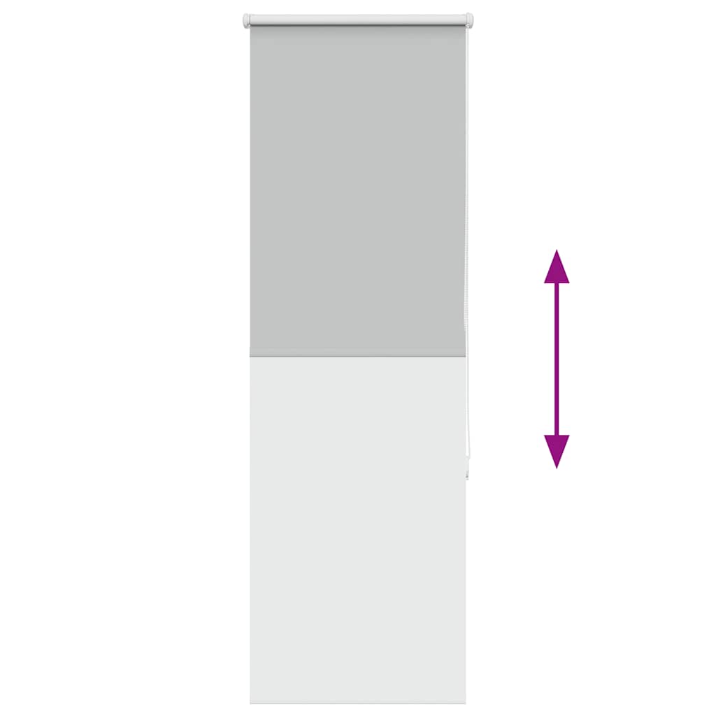Verdunkelungsrollo Hellgrau 55x150 cm Stoffbreite 50,7 cm