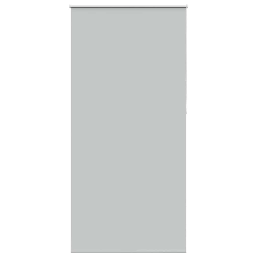 Verdunkelungsrollo Hellgrau 100x230 cm Stoffbreite 95,7cm