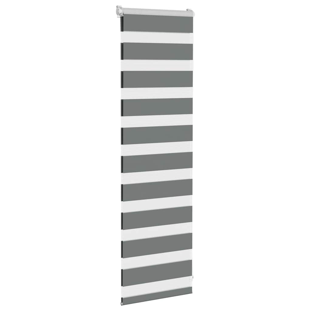 Doppelrollo Dunkelgrau 45x100 cm Stoffbreite 40,9 cm Polyester