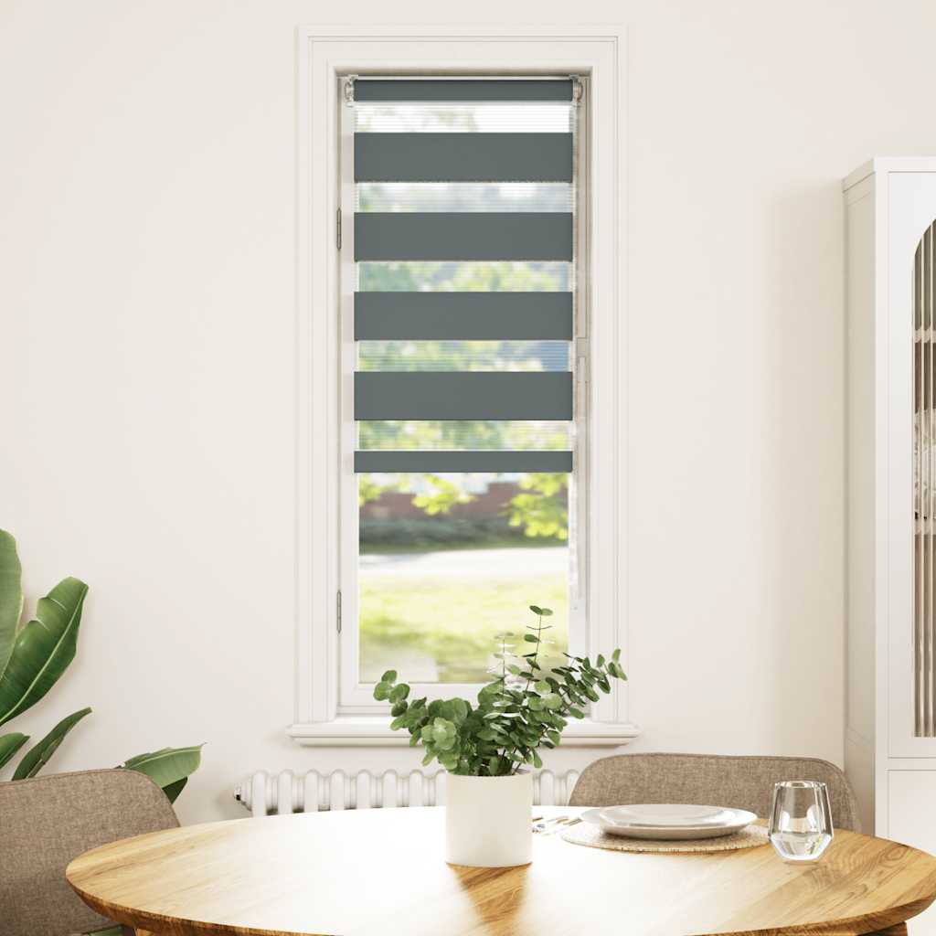 Doppelrollo Dunkelgrau 50x100 cm Stoffbreite 45,9 cm Polyester