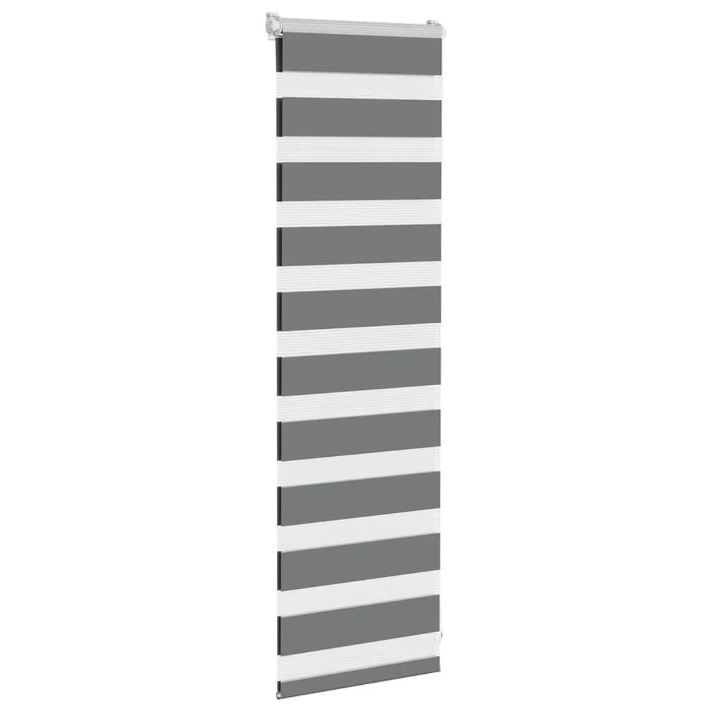 Doppelrollo Dunkelgrau 50x100 cm Stoffbreite 45,9 cm Polyester