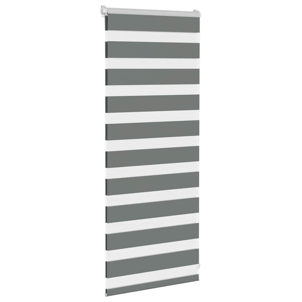 Doppelrollo Dunkelgrau 60x100 cm Stoffbreite 55,9 cm Polyester