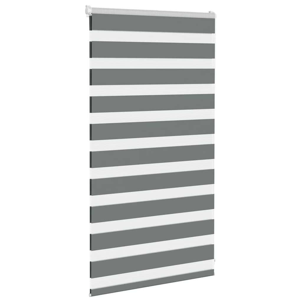 Doppelrollo Dunkelgrau 75x100 cm Stoffbreite 70,9 cm Polyester