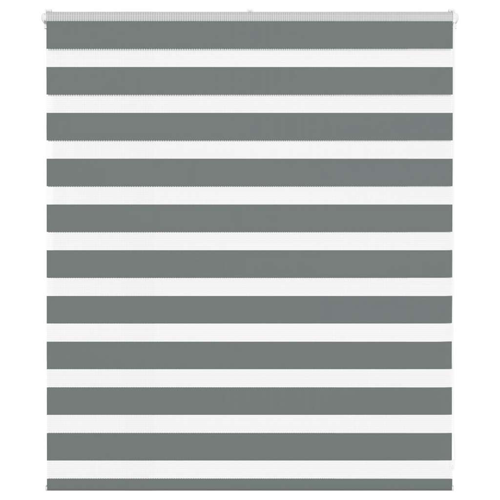 Doppelrollo Dunkelgrau 125x100 cm Stoffbreite 120,9 cm Polyester