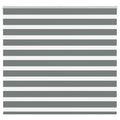 Doppelrollo Dunkelgrau 155x100 cm Stoffbreite 150,9 cm Polyester