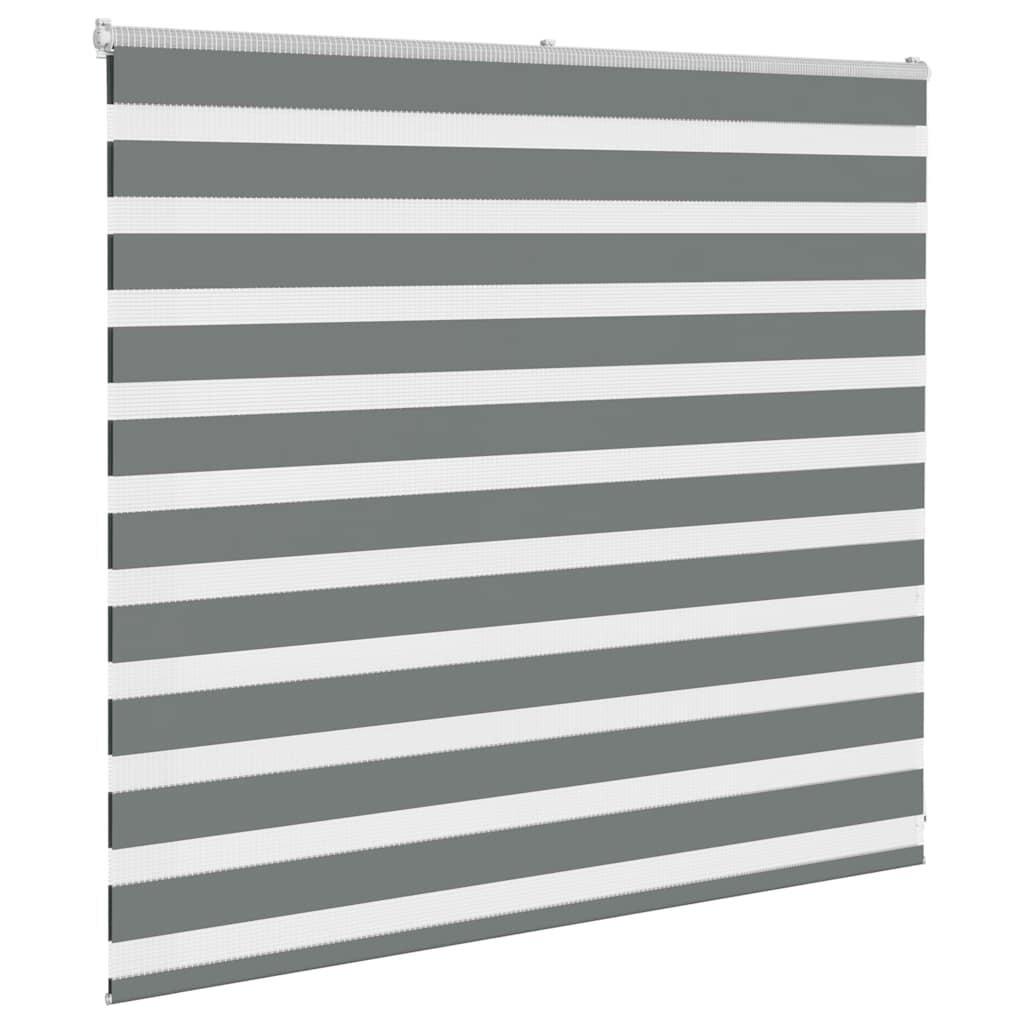 Doppelrollo Dunkelgrau 155x100 cm Stoffbreite 150,9 cm Polyester