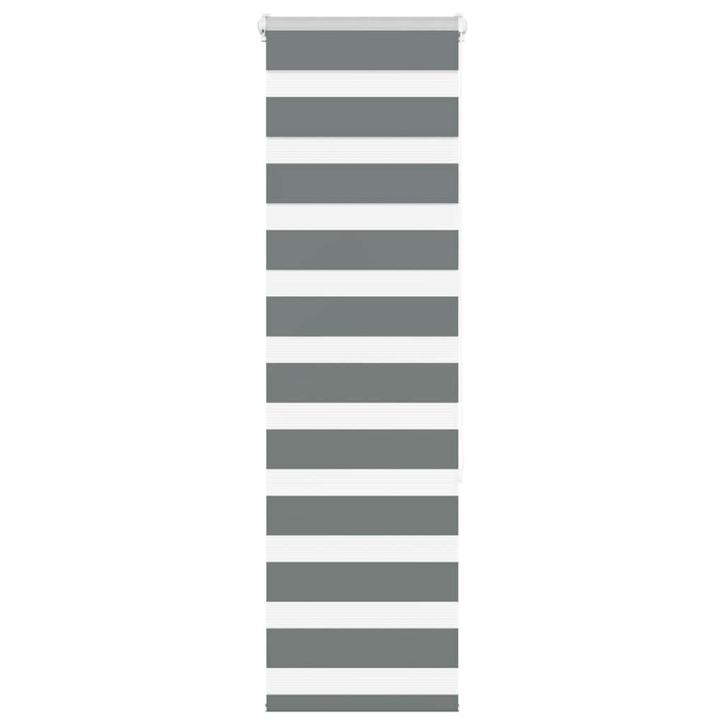 Doppelrollo Dunkelgrau 50x150 cm Stoffbreite 45,9 cm Polyester