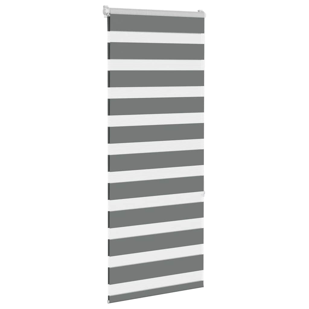 Doppelrollo Dunkelgrau 55x150 cm Stoffbreite 50,9 cm Polyester