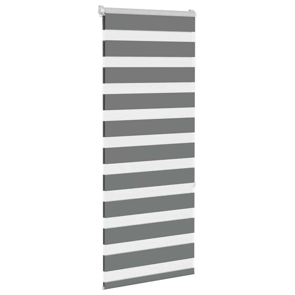 Doppelrollo Dunkelgrau 60x150 cm Stoffbreite 55,9 cm Polyester