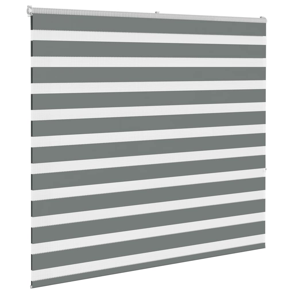 Doppelrollo Dunkelgrau 155x150 cm Stoffbreite 150,9 cm Polyester