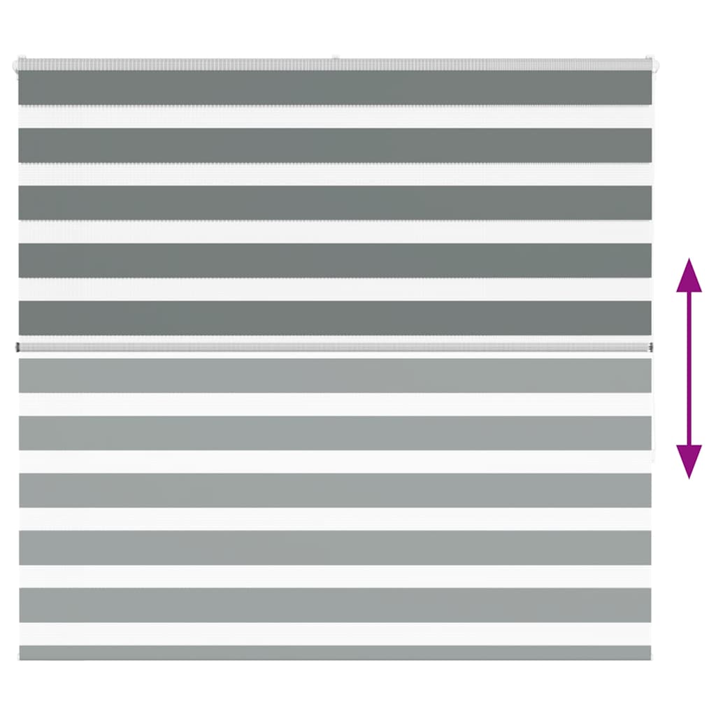 Doppelrollo Dunkelgrau 165x150 cm Stoffbreite 160,9 cm Polyester