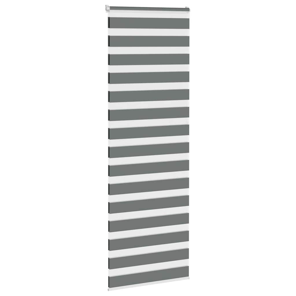 Doppelrollo Dunkelgrau 75x200 cm Stoffbreite 70,9 cm Polyester