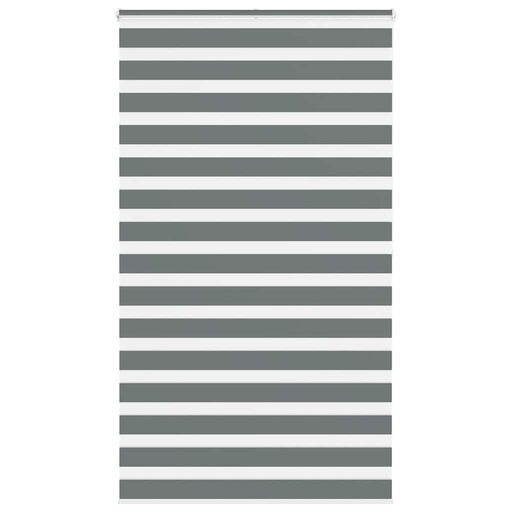 Doppelrollo Dunkelgrau 125x200 cm Stoffbreite 120,9 cm Polyester