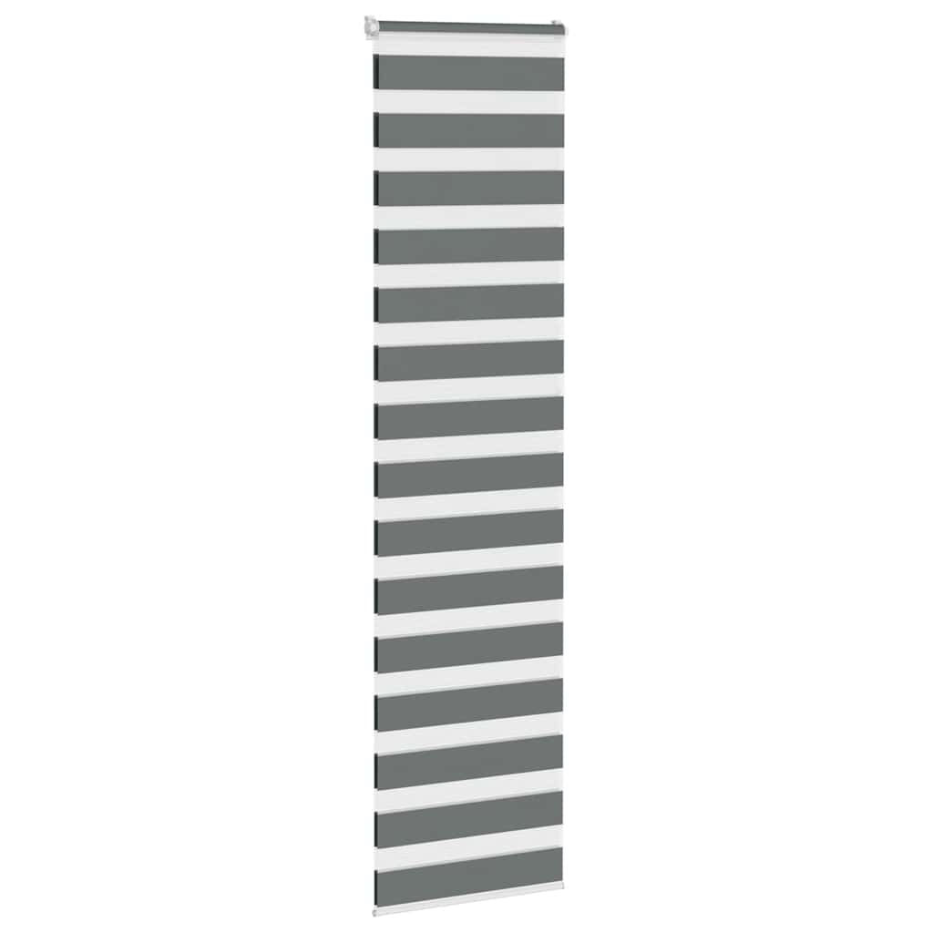 Doppelrollo Dunkelgrau 55x230 cm Stoffbreite 50,9 cm Polyester