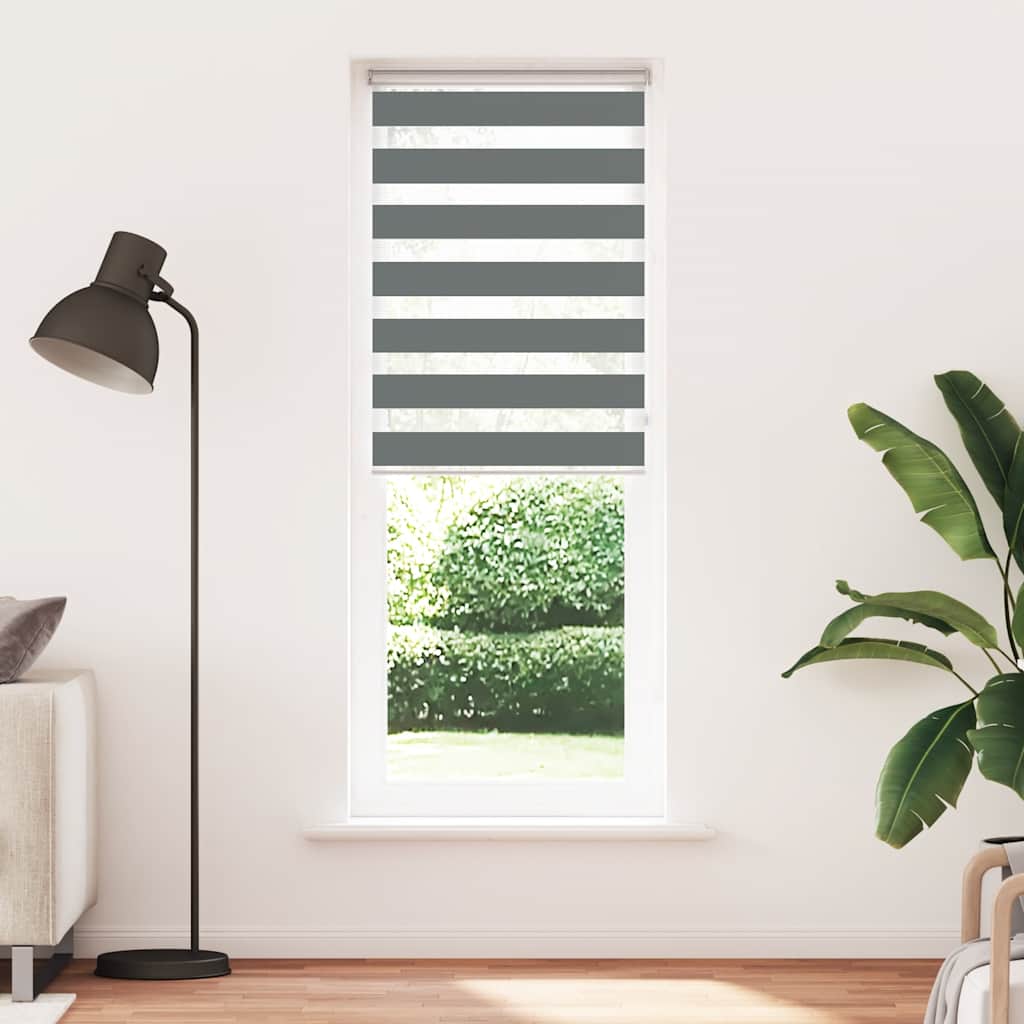 Doppelrollo Dunkelgrau 75x230 cm Stoffbreite 70,9 cm Polyester