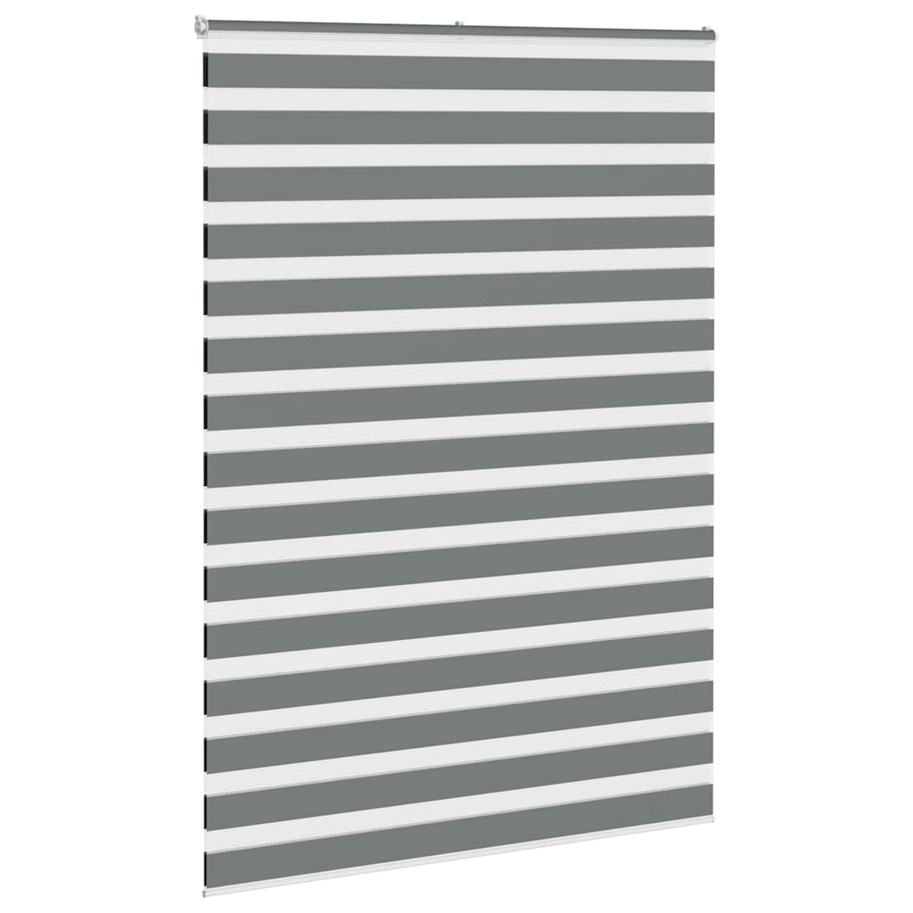 Doppelrollo Dunkelgrau 165x230 cm Stoffbreite 160,9 cm Polyester