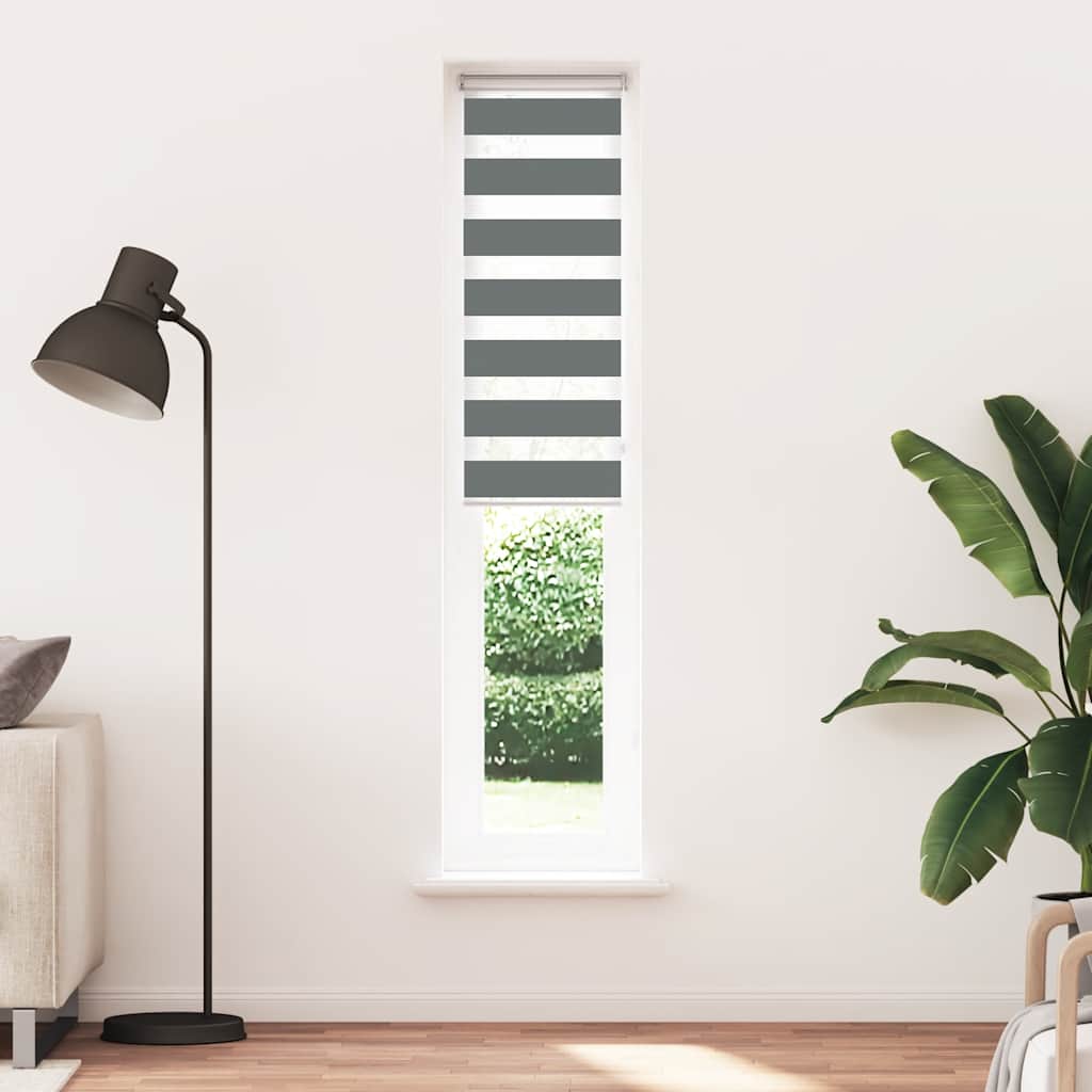 Doppelrollo Schwarz 120x100 cm Stoffbreite 115,9 cm Polyester