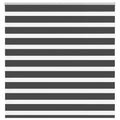 Doppelrollo Schwarz 145x100 cm Stoffbreite 140,9 cm Polyester