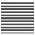 Doppelrollo Schwarz 160x100 cm Stoffbreite 155,9 cm Polyester