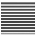 Doppelrollo Schwarz 165x100 cm Stoffbreite 160,9 cm Polyester