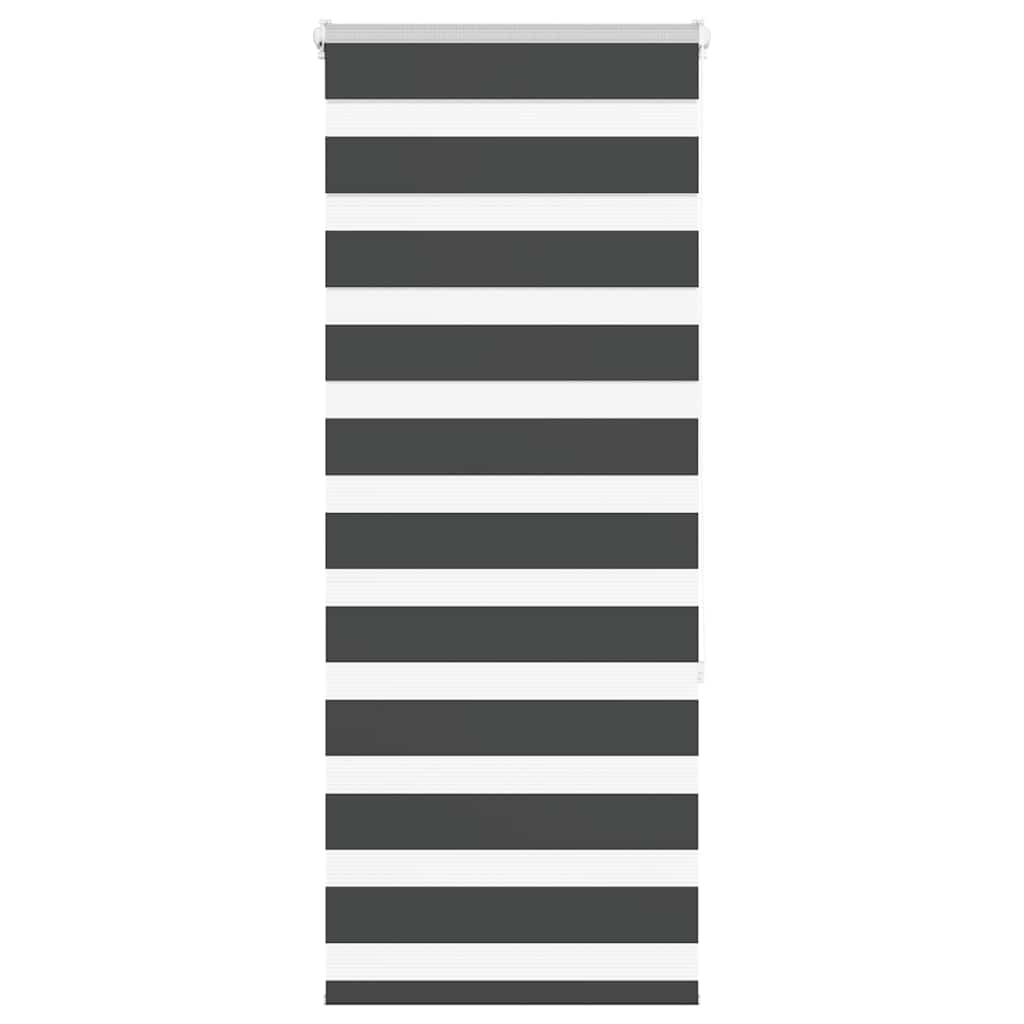Doppelrollo Schwarz 60x150 cm Stoffbreite 55,9 cm Polyester