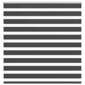 Doppelrollo Schwarz 145x150 cm Stoffbreite 140,9 cm Polyester