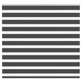 Doppelrollo Schwarz 155x150 cm Stoffbreite 150,9 cm Polyester