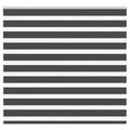 Doppelrollo Schwarz 160x150 cm Stoffbreite 155,9 cm Polyester