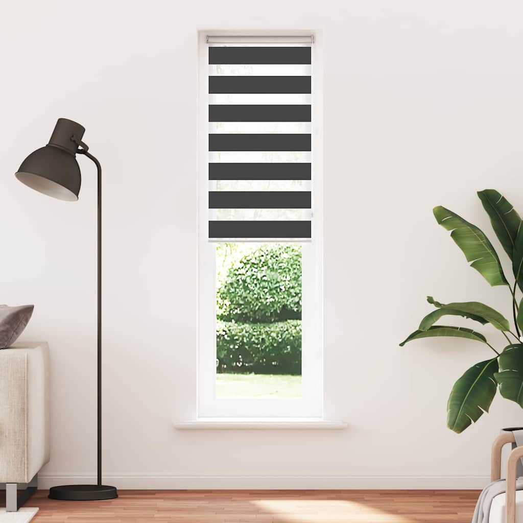 Doppelrollo Schwarz 55x200 cm Stoffbreite 50,9 cm Polyester
