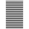 Doppelrollo Schwarz 145x200 cm Stoffbreite 140,9 cm Polyester