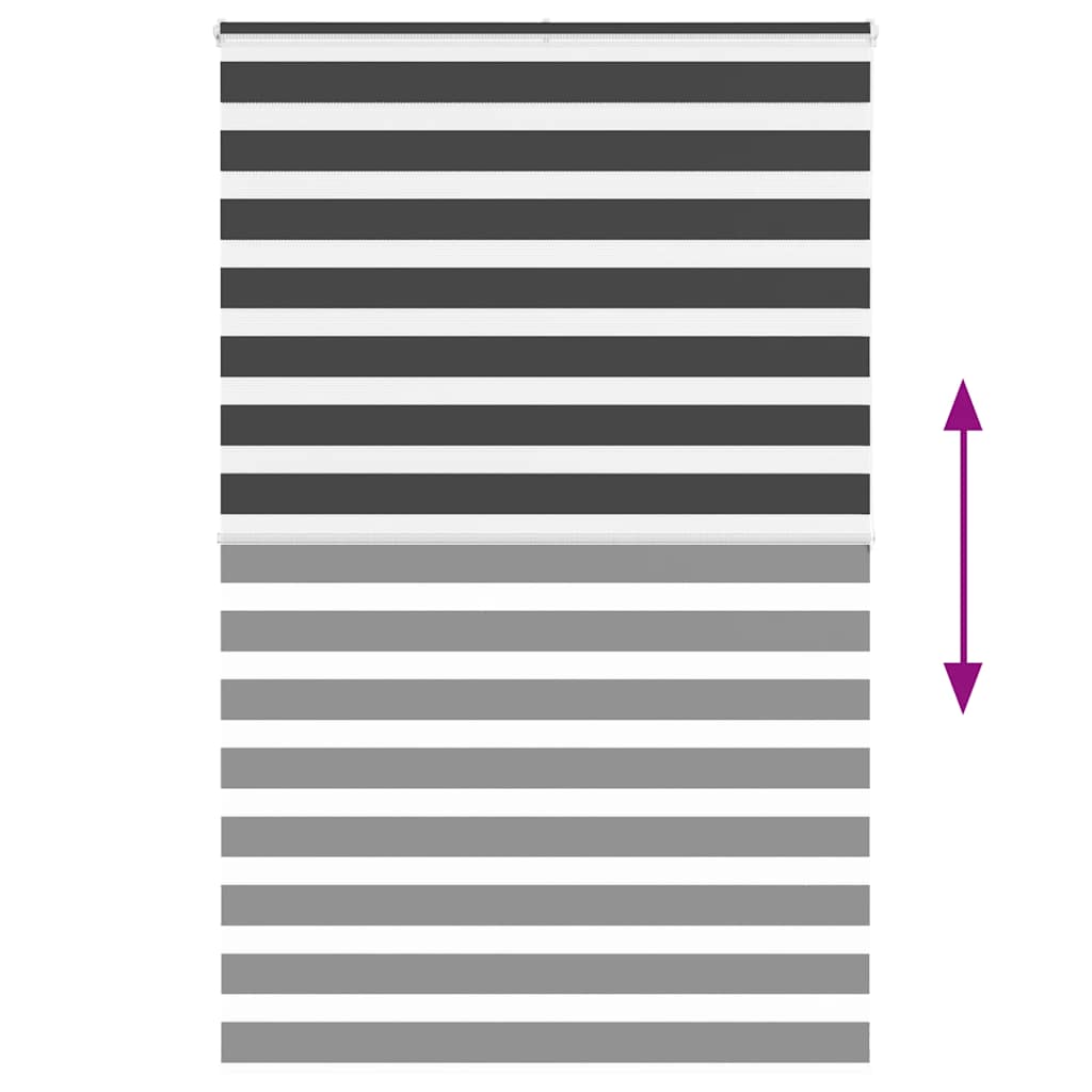 Doppelrollo Schwarz 150x200 cm Stoffbreite 145,9 cm Polyester
