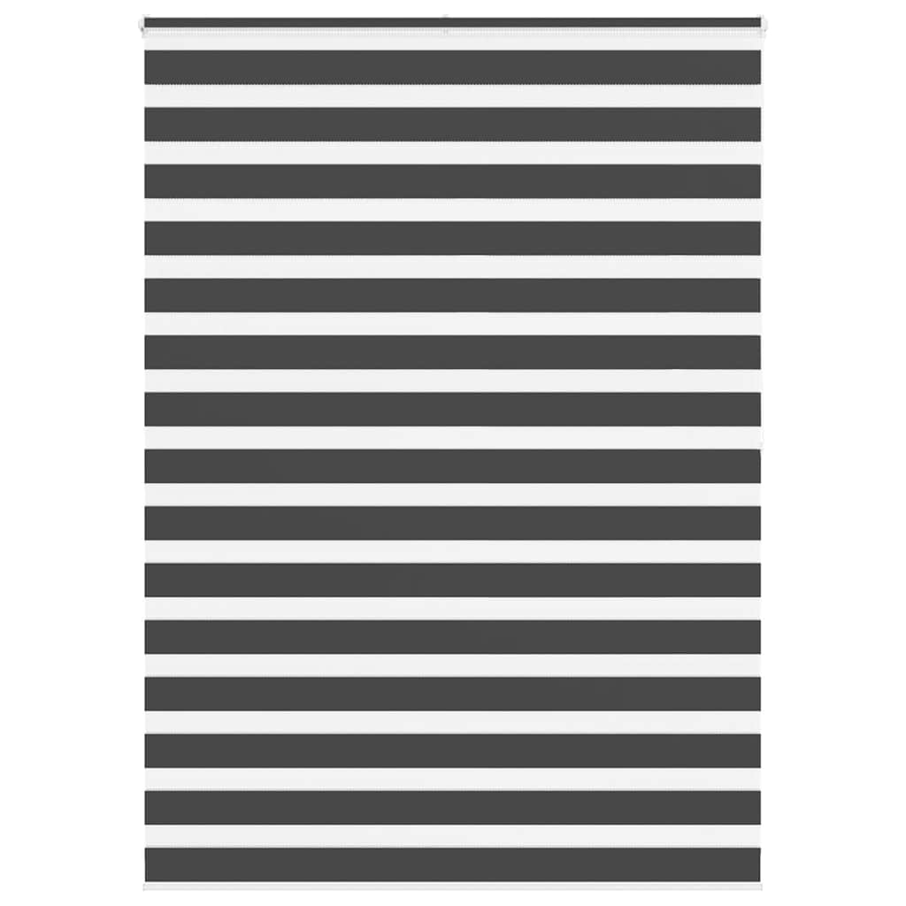 Doppelrollo Schwarz 155x200 cm Stoffbreite 150,9 cm Polyester