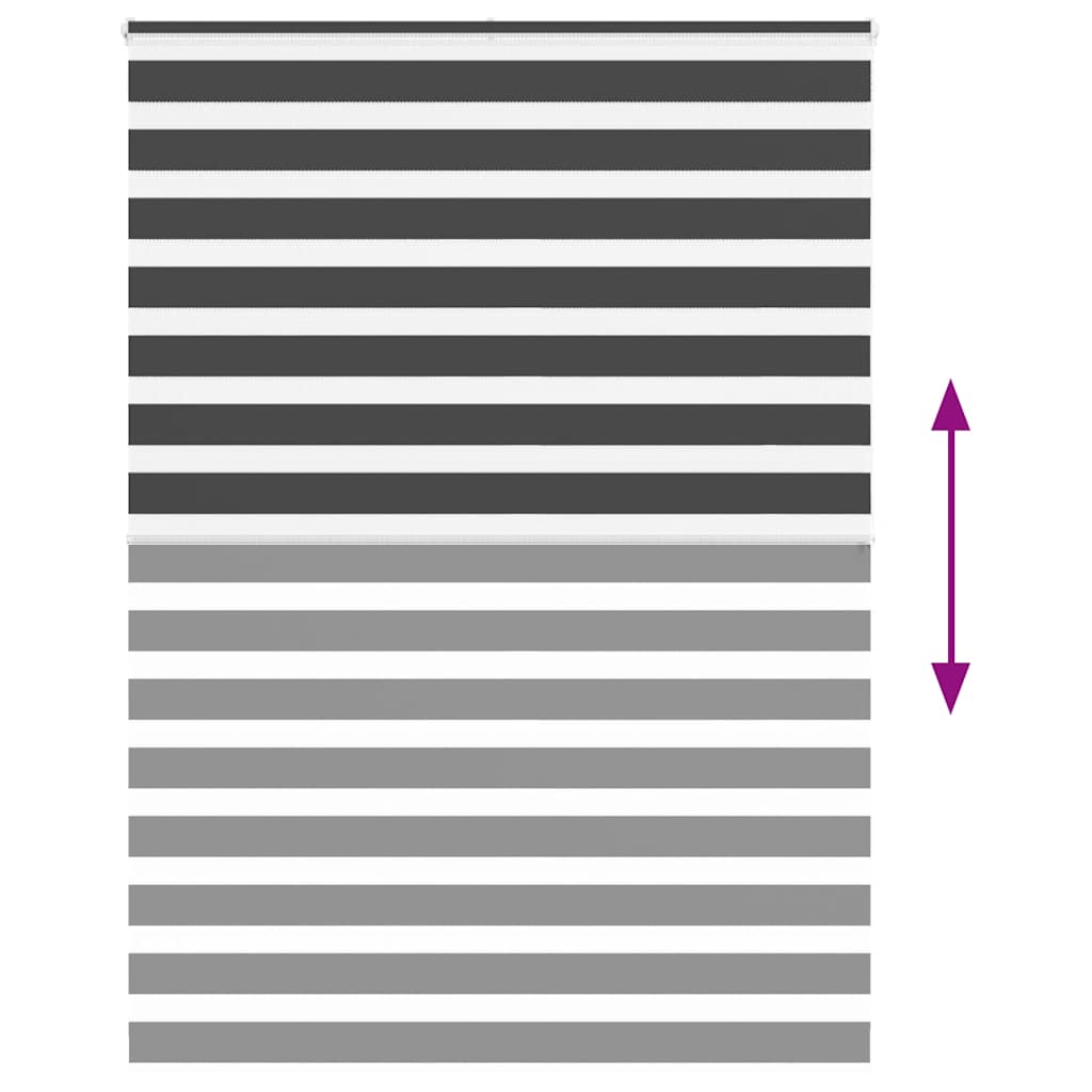 Doppelrollo Schwarz 160x200 cm Stoffbreite 155,9 cm Polyester
