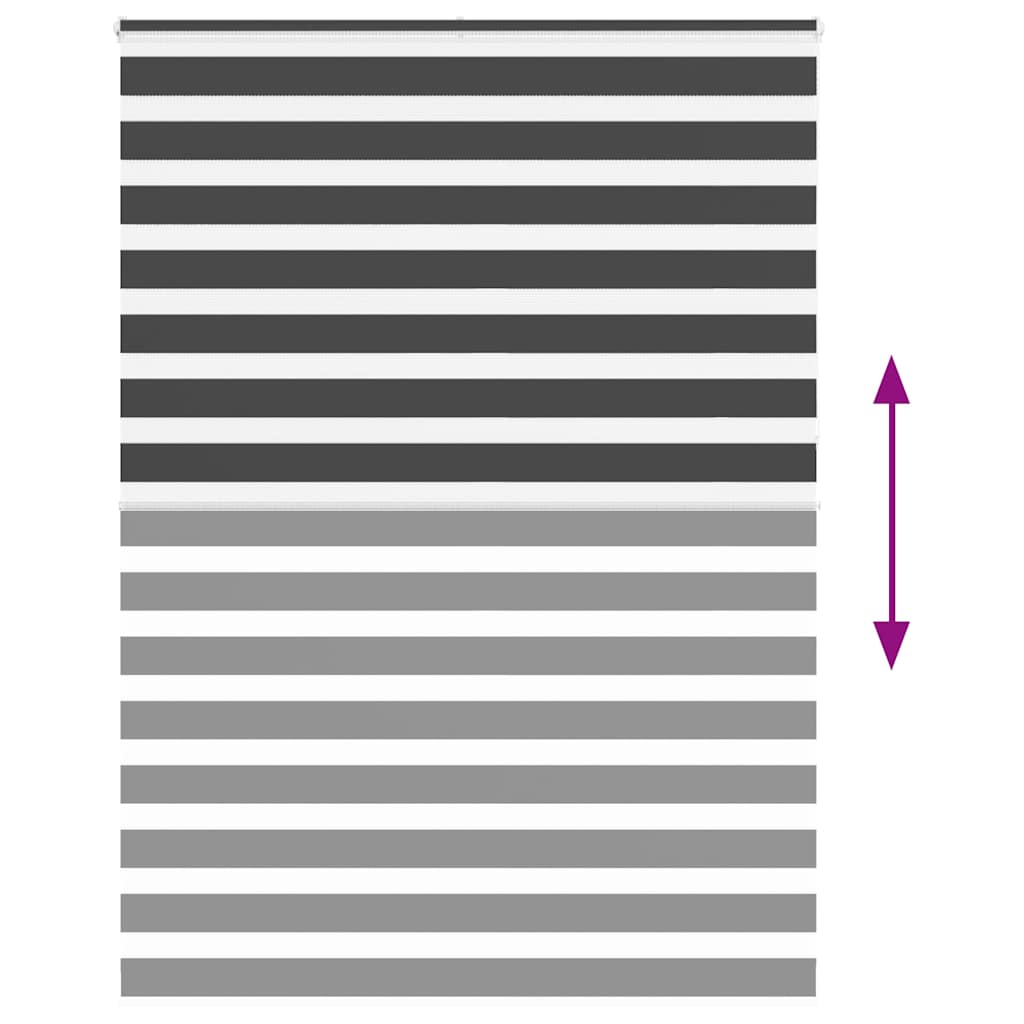 Doppelrollo Schwarz 160x230 cm Stoffbreite 155,9 cm Polyester